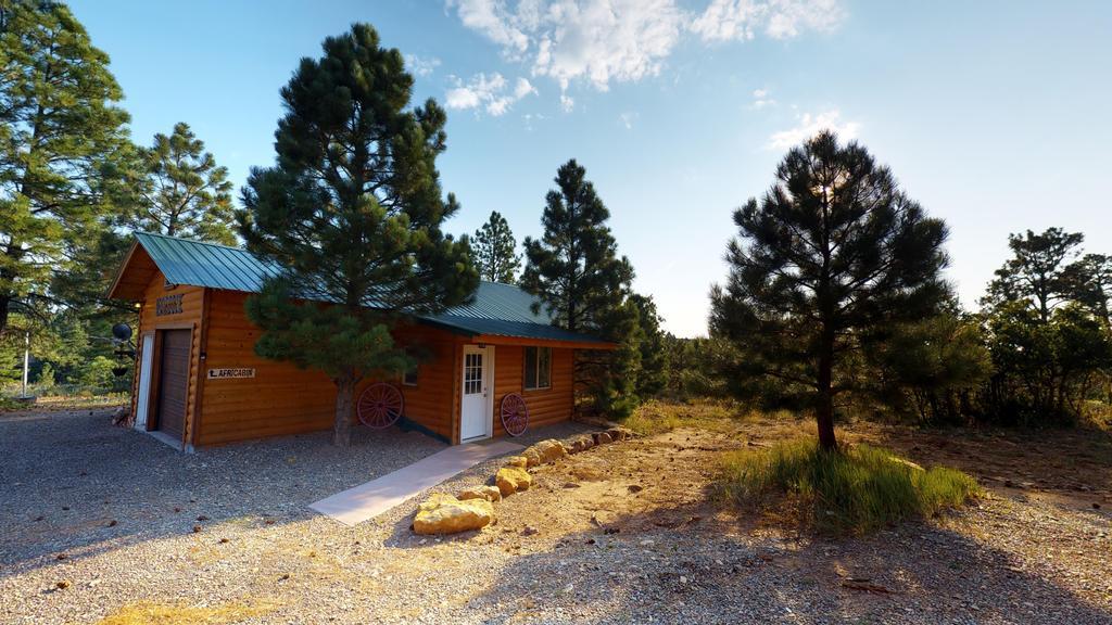 Long View Cabin, Breakfast Deck Overlooking The Canyon! Monticello Luaran gambar